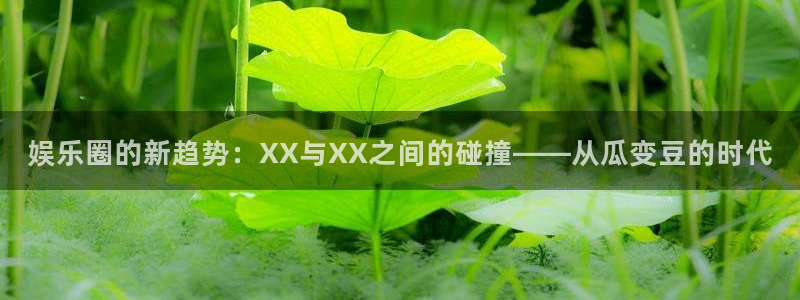 万事娱乐登录：娱乐圈的新趋势：XX与XX之间的碰撞——从瓜变豆的时代