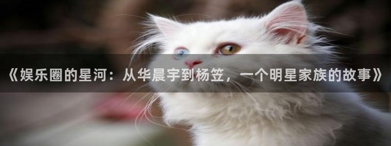 万事娱乐登录：《娱乐圈的星河：从华晨宇到杨笠，一个明星家族的故事》
