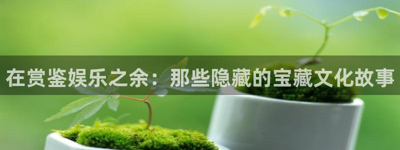 万事娱乐登录：在赏鉴娱乐之余：那些隐藏的宝藏文化故事
