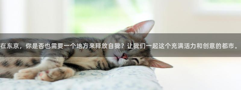 万事娱乐登录：在东京，你是否也需要一个地方来释放自我？让我们一起这个充满活力和创意的都市。
