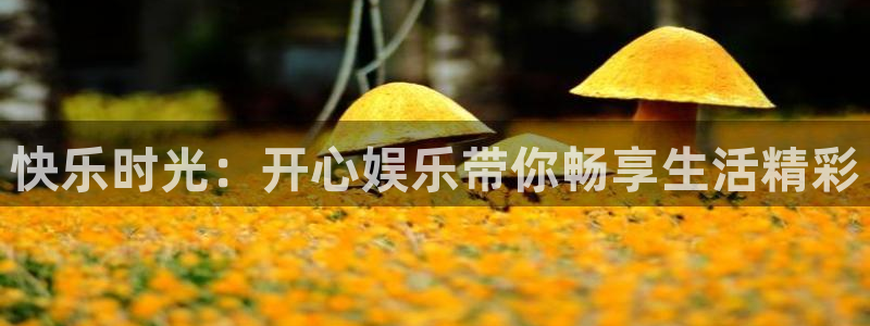 万事娱乐登录：快乐时光：开心娱乐带你畅享生活精彩