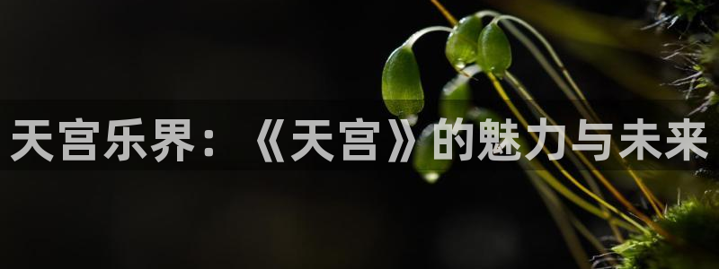 upload/20250701114914.jpg